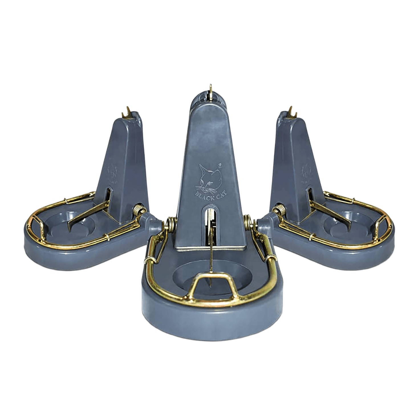 Black Cat Rat Traps