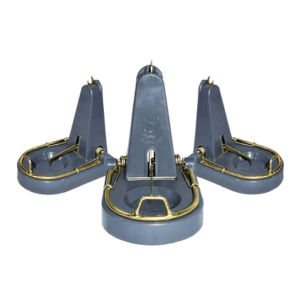 Black Cat Rat Traps