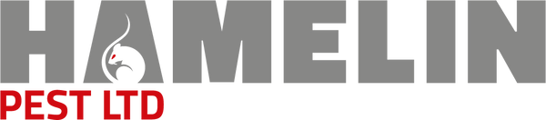 Hamelin Pest