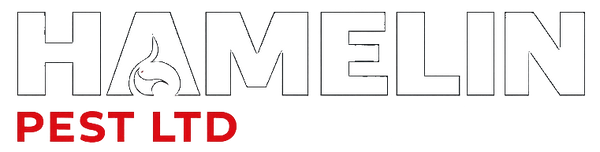 Hamelin Pest